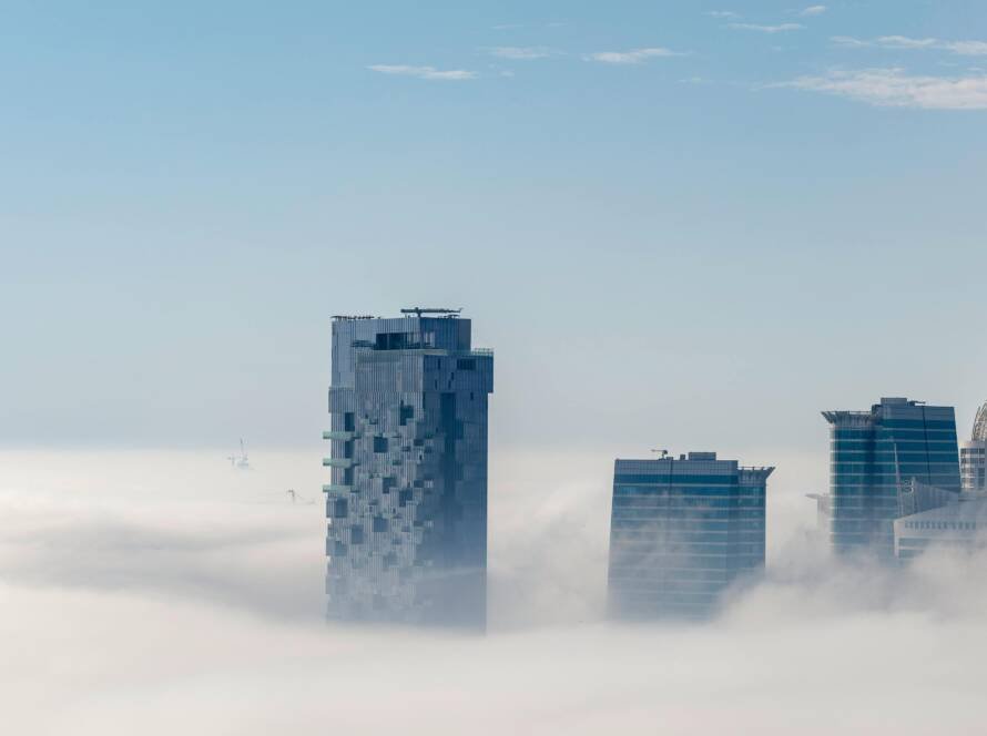 pexels-apasaric-2021236