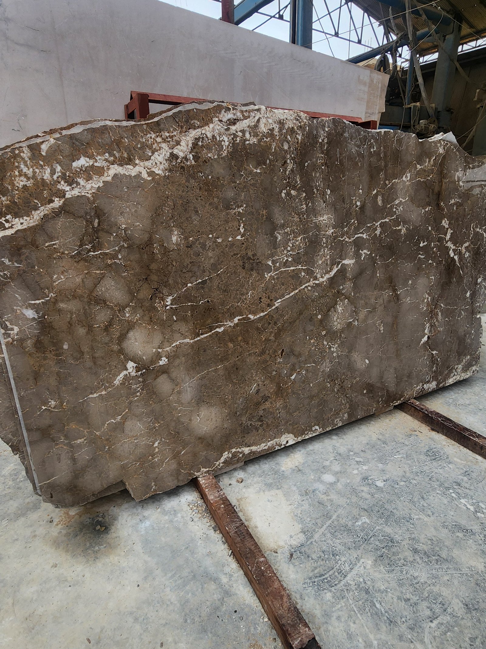 CINNAMON GREY - Image 4