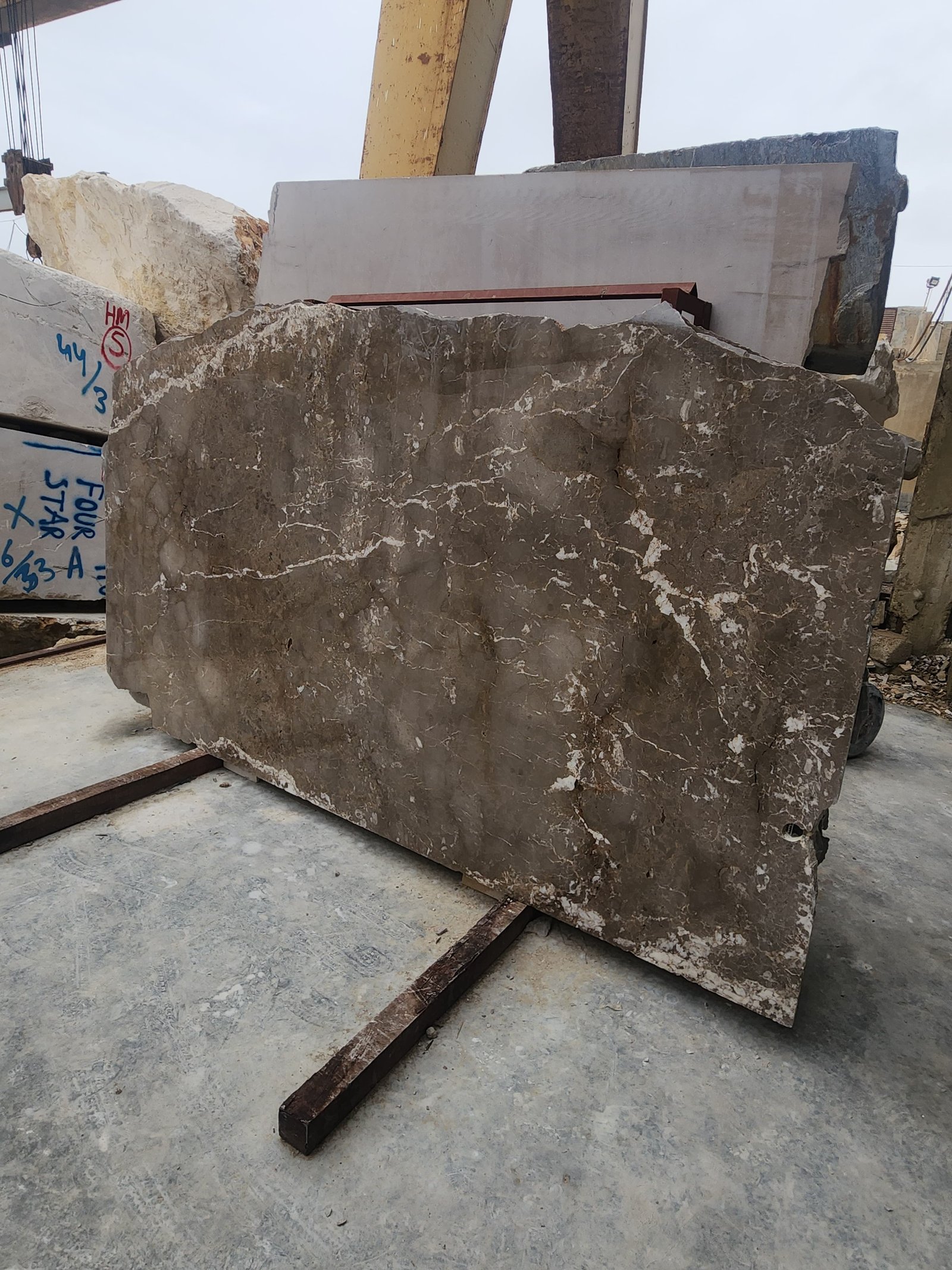 CINNAMON GREY - Image 3